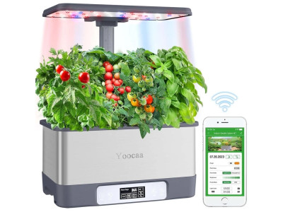 Свіжа зелень на підвіконні 365 днів на рік: Майбутнє за домашньою гідропонікою