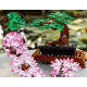 LEGO 10281 "Дерево Бонсай" (Icons Bonsai Tree)
