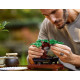 LEGO 10281 "Дерево Бонсай" (Icons Bonsai Tree)
