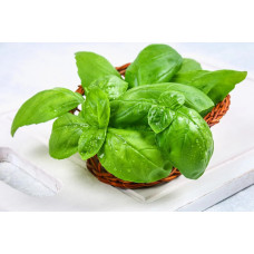 Преміум насіння Базиліка: Набір із 5 пакетів для стабільного врожаю