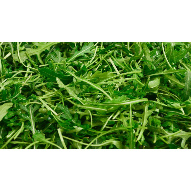 Преміум насіння Руккола: Набір із 5 пакетів для стабільного врожаю