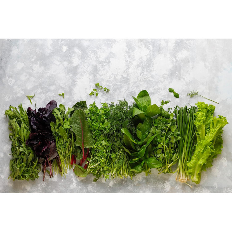 Преміум насіння Руккола: Набір із 5 пакетів для стабільного врожаю