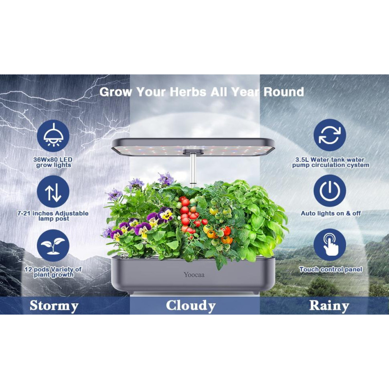 Yoocaa 50 см: 12-місна Система Гідропоніки з Регульованою Висотою та 36 Вт LED.(1 пакет насіння включено) (Світло-сірий)