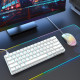 Механічна ігрова клавіатура Dierya 60% (61 клавіша) – Red Switch, Type-C (Білий)