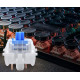 Блакитні механічні перемикачі для клавіатури (5 шт.): Clicky Blue Switches