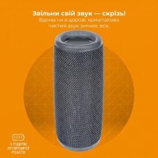 Портативна Bluetooth-колонка Denver BTV-150 Black (1200 mAh, IPX4, USB, MicroSD) (Чорний)
