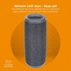Портативна Bluetooth-колонка Denver BTV-150 Black (1200 mAh, IPX4, USB, MicroSD) (Сірий)